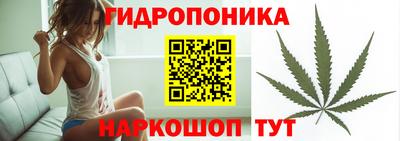 спиды Братск