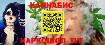 СК Боровичи